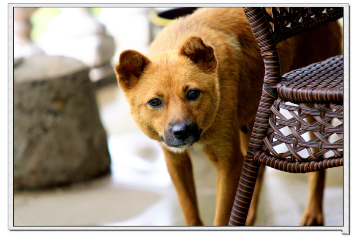 龙泉市好吃美食,丽水市龙泉市特色美食