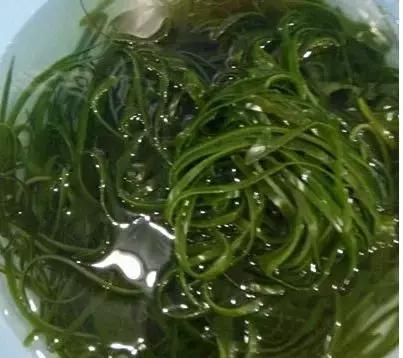 简单的醒酒汤做法水果,橘子皮醒酒汤怎么做