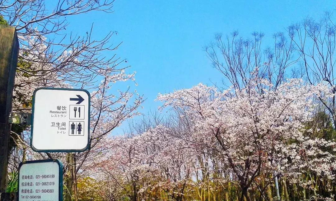 上海地铁首末班车时间全部,上海地铁首末车时间表最新