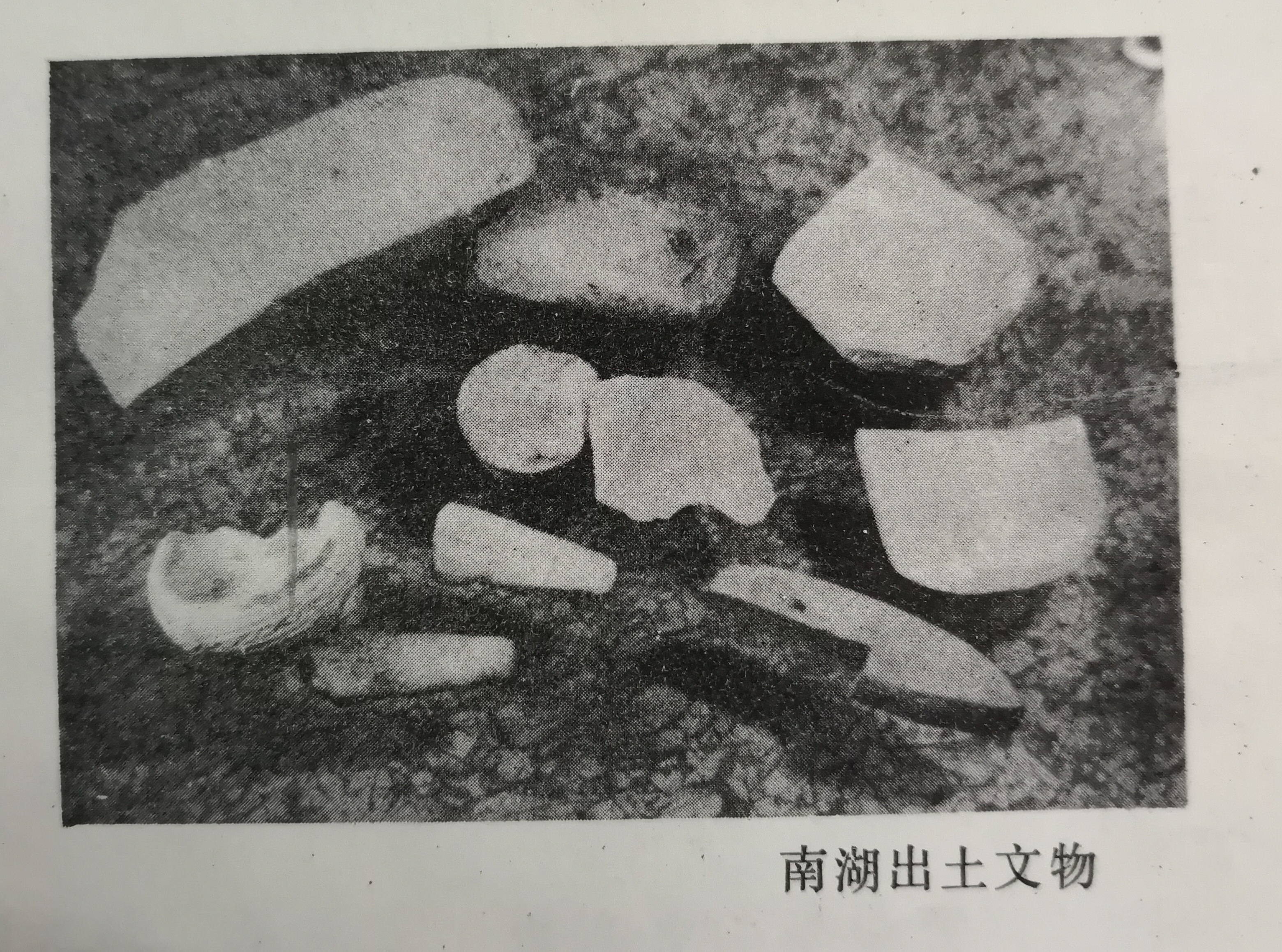 南县洞庭之心夜市,南县洞庭之心