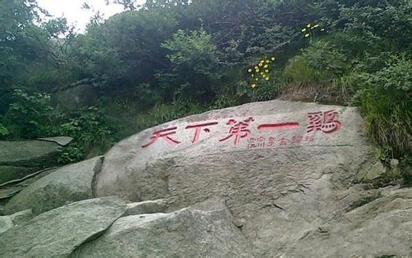 ps搞笑恶搞千万不要叫大神帮你p图,爆笑大神ps神图笑到肚子痛