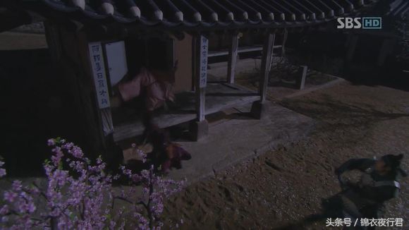 盗帅一枝梅电影结局,盗帅一枝梅电影全集