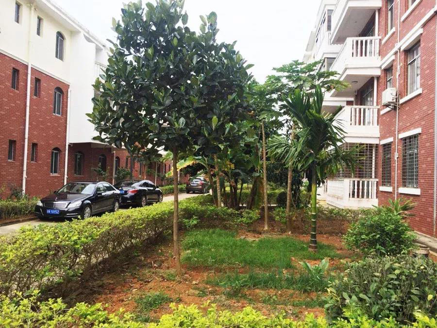 海南8千元左右的房源,海南房源最新价格