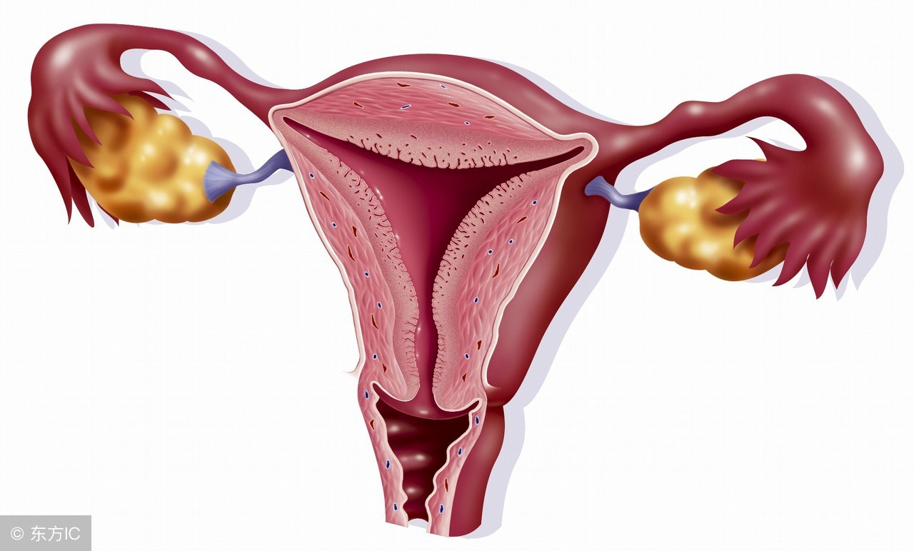 宫颈息肉手术后流血多久算正常，手术后的注意事项有哪些