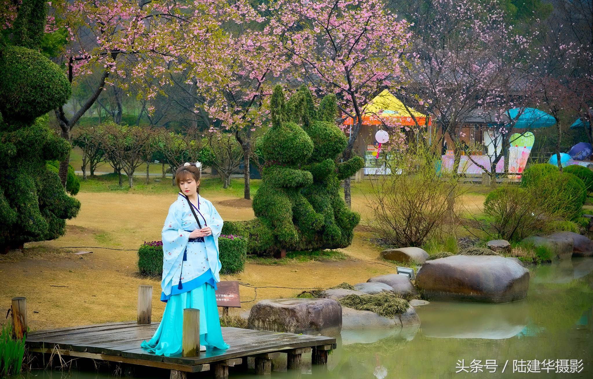 太湖赏樱花鼋头渚旅行攻略,太湖鼋头渚风景区看樱花旅游攻略