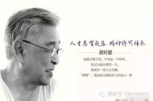 农产品如何微信裂变推广,农产品如何做线下推广方案