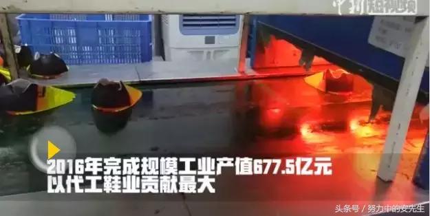 运动鞋代工厂的自有品牌,品牌运动鞋代工厂有哪些