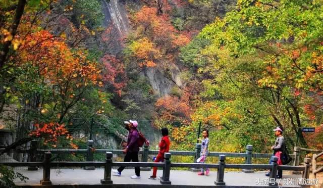 河南漯河自驾游必去十个景点,河南省内一日游景点自驾游