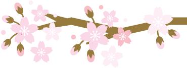 315揭秘打假,315维权的真实经历