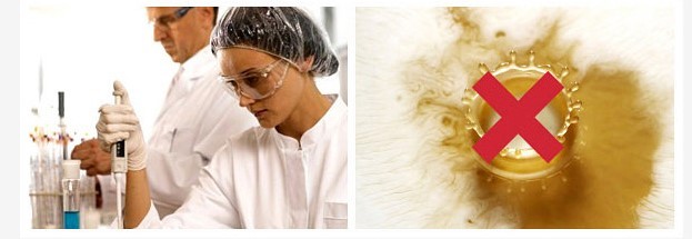 澳洲a2新款奶粉,澳洲牛奶a2官网