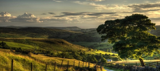 开胸手术后怎么预防鸡胸和漏斗胸,为什么鸡胸和漏斗胸越来越多