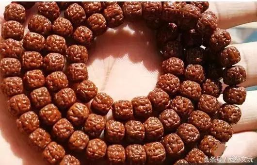如何挑选小金刚菩提手串,小金刚菩提怎么盘玩