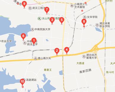 武汉十大加油站排名,光谷加油站哪家靠谱