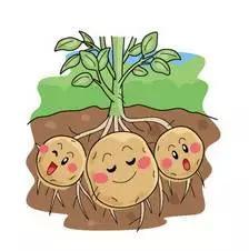 最适合孕妇吃的7大最佳食物,孕妇必吃的7种食物