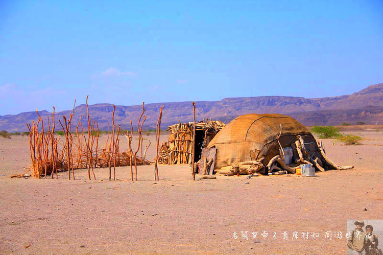 吉布提神奇的阿法人：姑娘在沙漠里放羊，男人的胡子染成红、黄色