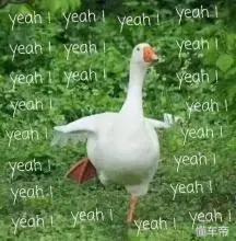 深圳宝安学车哪个驾校好,深圳学车哪个驾校最好