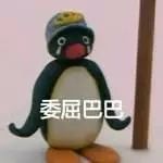 一只小猪猪在国外励志故事,小猪猪励志故事