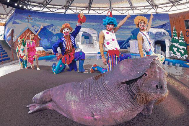 拉仇恨,上海又添世界级别新地标