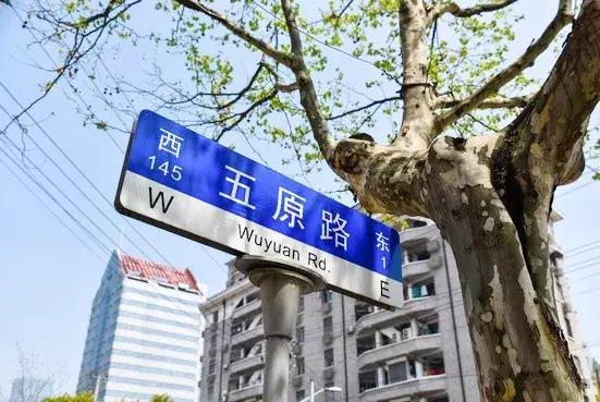 上海网红路前十名,上海网红马路