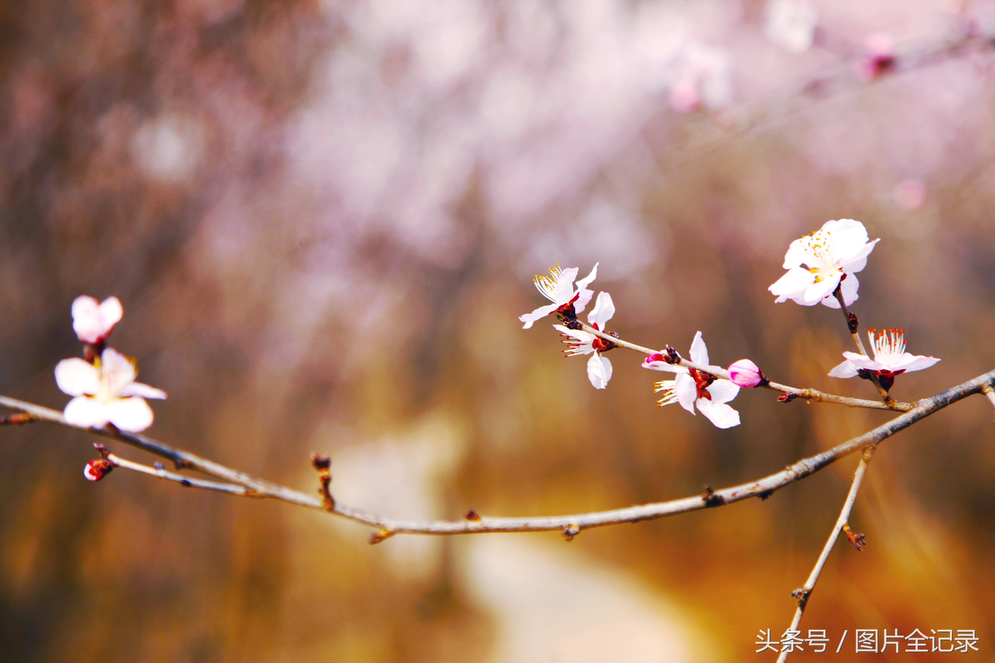 山西吉县人祖山景区,山西吉县人祖山介绍