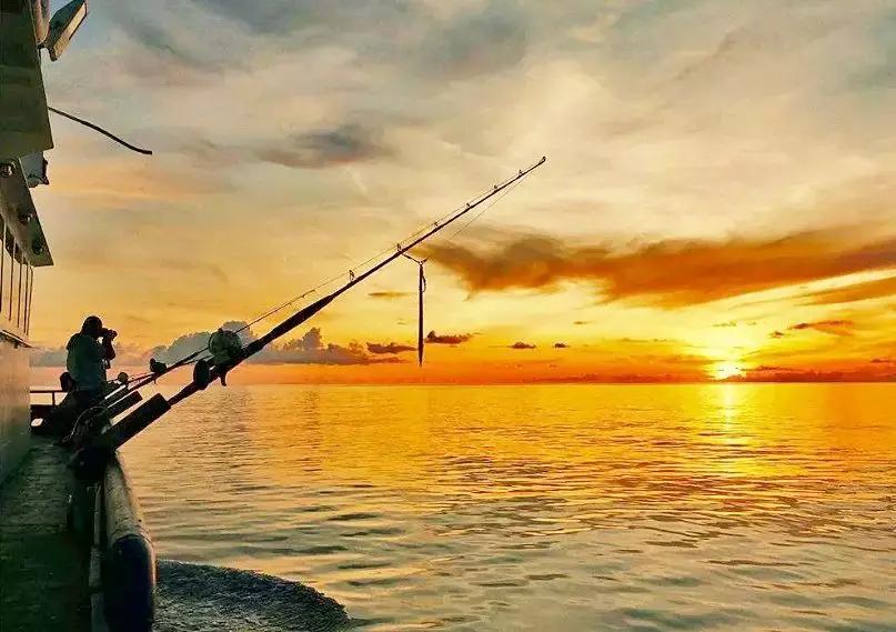 浙江禁渔期有哪些地方,禁渔期去海边吃海鲜贵吗