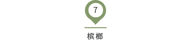 有了这份攻略,厦门攻略三天两晚不踩雷走心分享