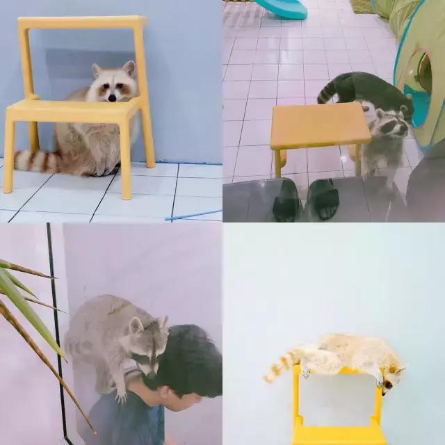 泰国旅行吃食,泰国旅游吃什么特色水果