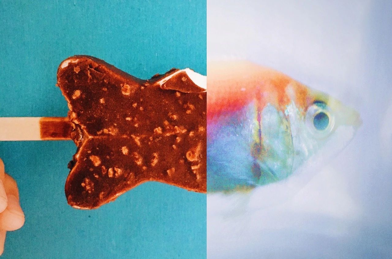 用什么app能拍出高级的照片,教你用手机拍出美哒哒的照片