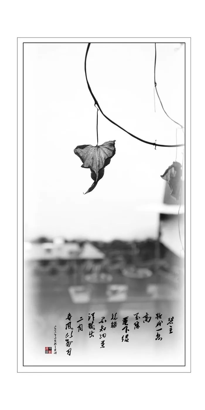 西浦村状元叫什么,廊桥水乡西浦村视频