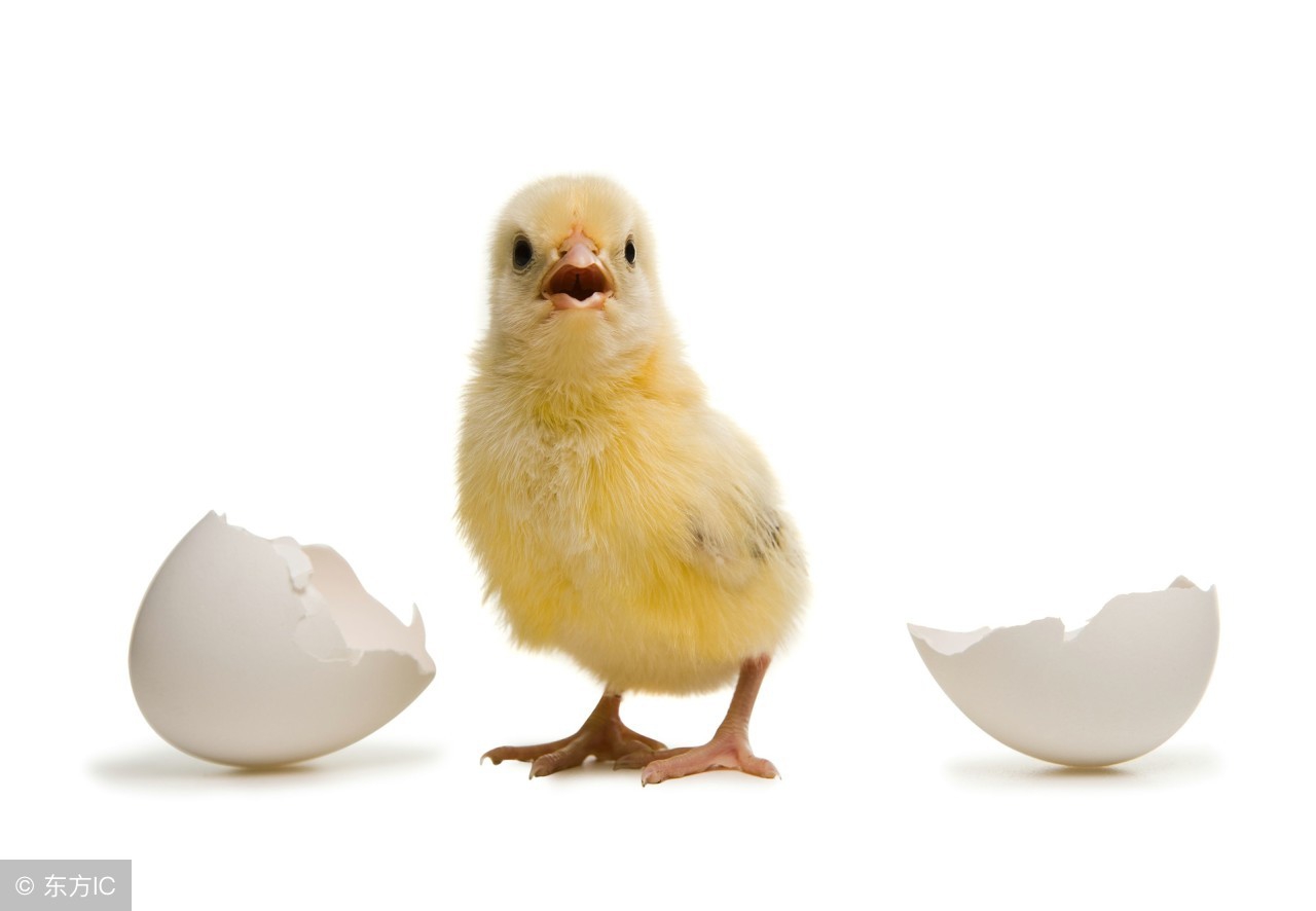 去英国为什么要带伞,英国出行需要注意什么