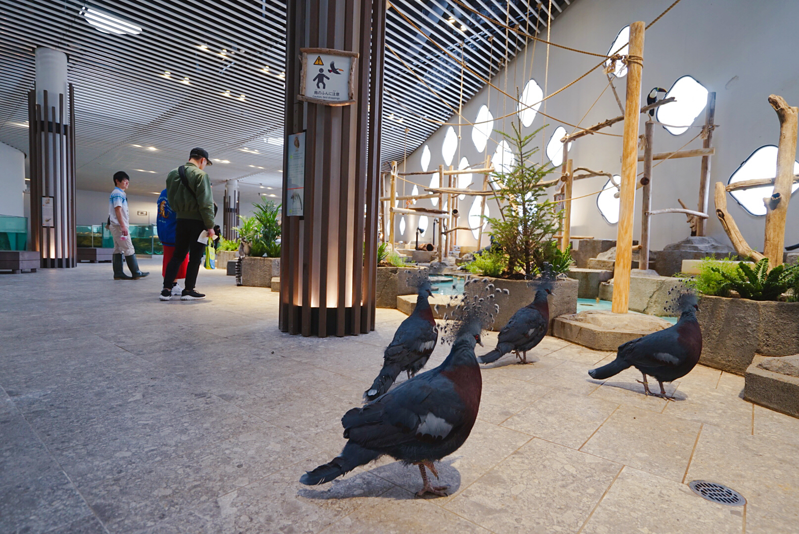 日本大阪之旅感受,日本自由行大阪游记