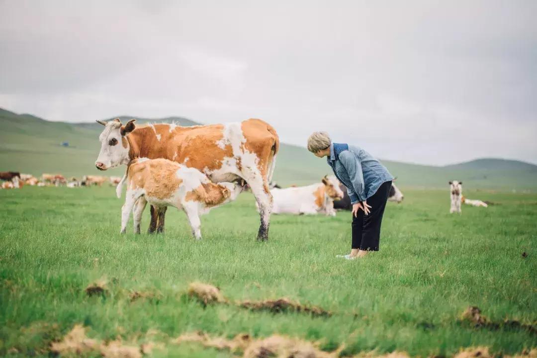 追星旅游记,追星大环线日记