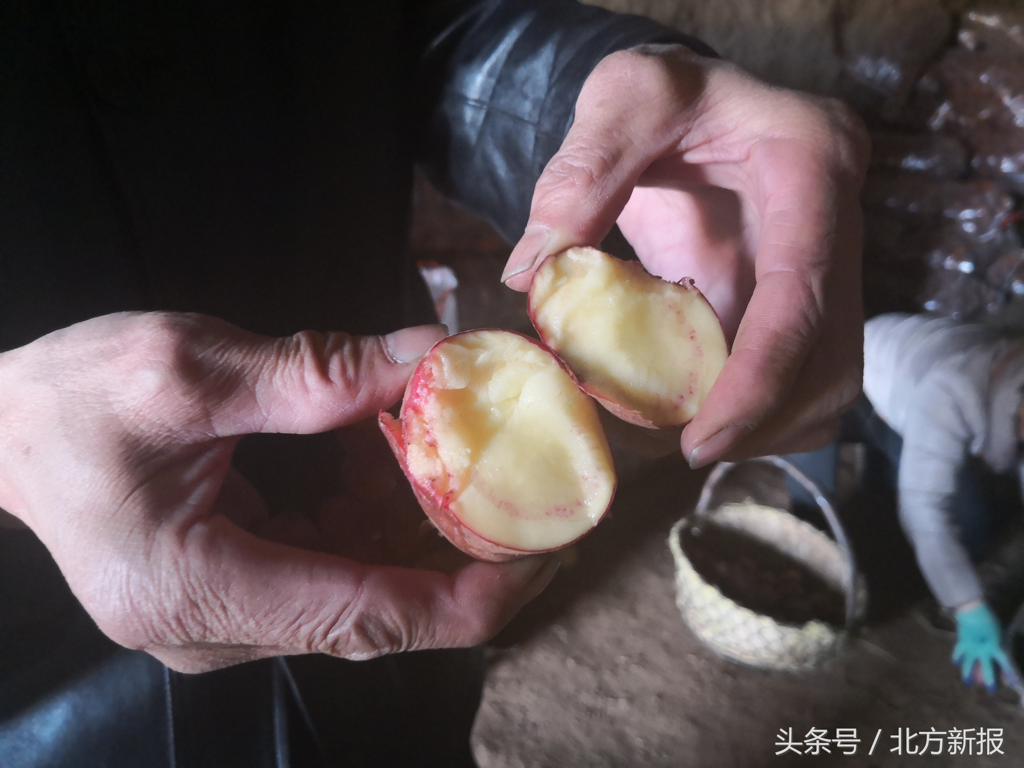 呼和浩特土豆批发送货,呼和浩特市武川县金三角土豆基地