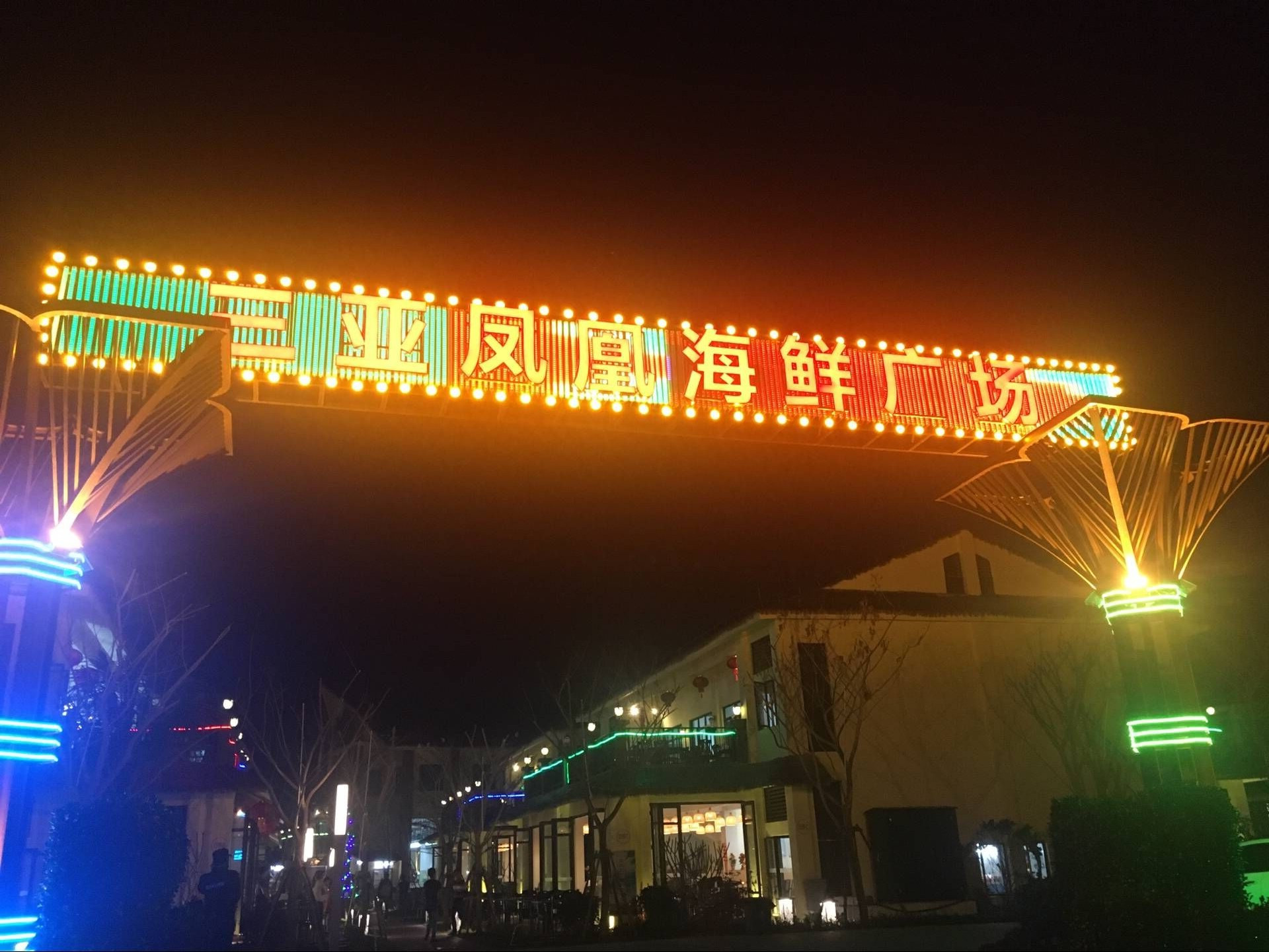 相约海之南歌曲,浪漫走天涯相约海之南