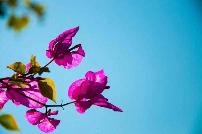 相约海之南歌曲,浪漫走天涯相约海之南