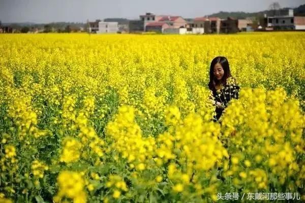 清明小长假旅游推荐,清明假期适合1-2天短途旅游