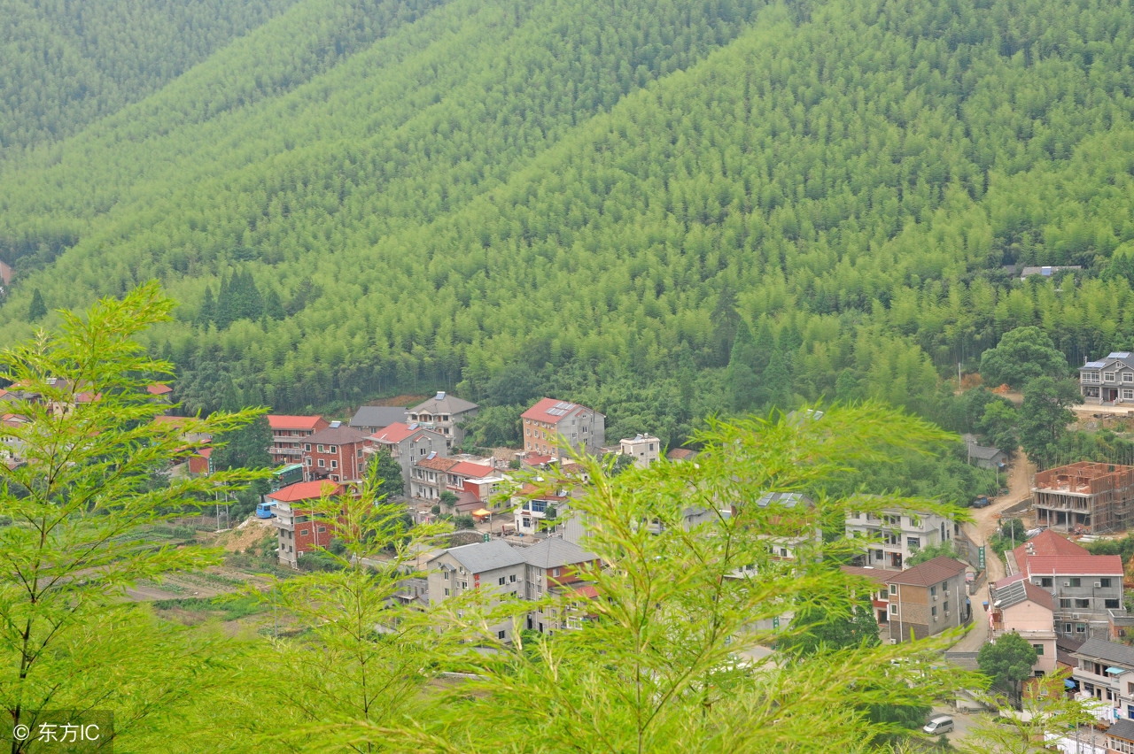 湖州旅游攻略有哪些好玩的,湖州长颈鹿庄园值得去吗