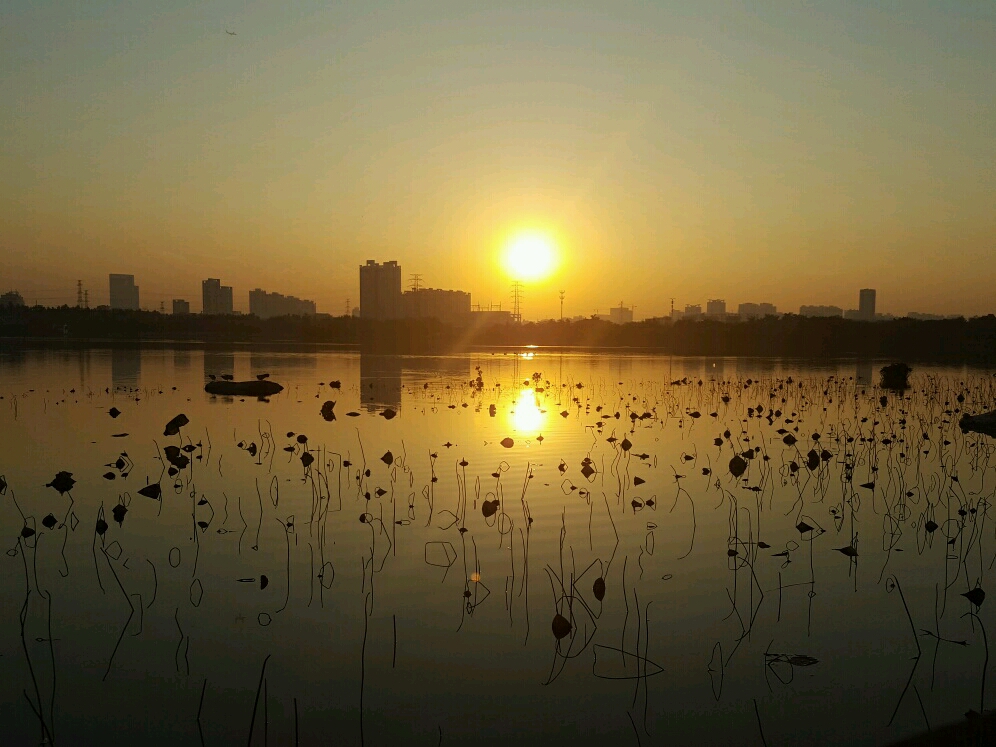 海珠湖国家湿地公园钓鱼,海珠湖国家湿地公园开放时间