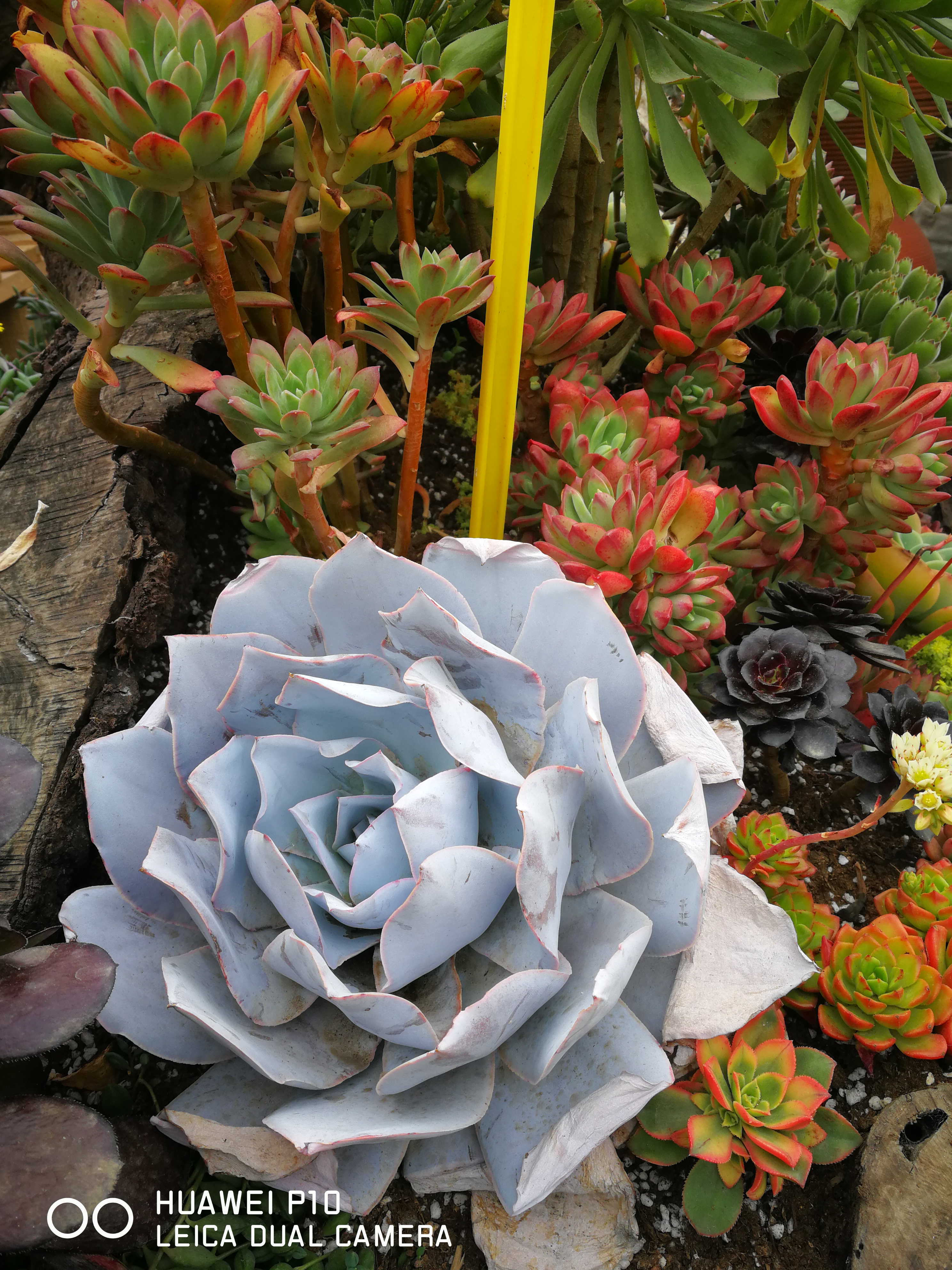 40岁了不上班怎么办,45岁以后没工作怎么办