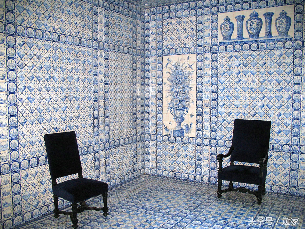 荷兰郁金香风光,维也纳冬天的花