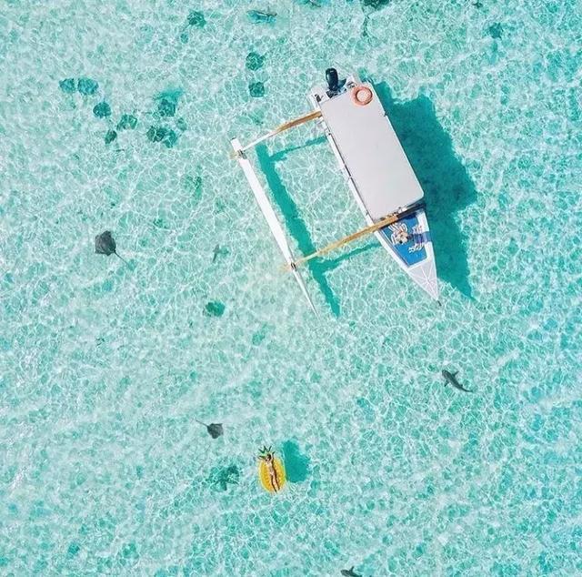 全球热门海岛选岛攻略！你最中意哪个？