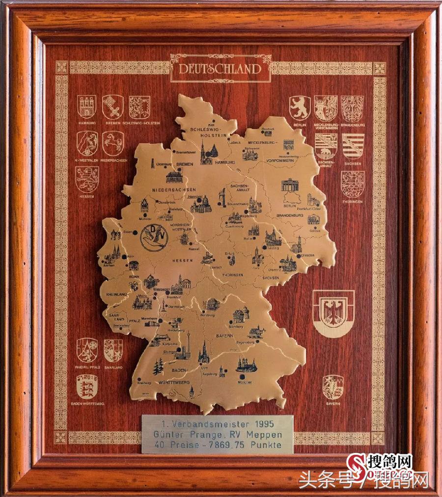 搜鸽网信息,赛鸽资讯知识分享