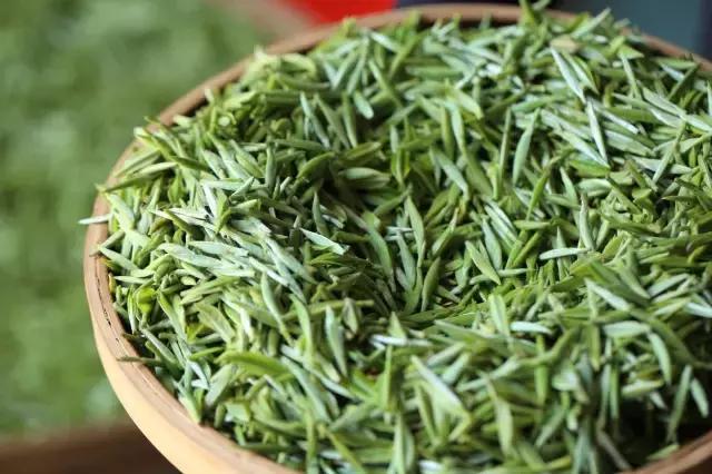 警惕一喝绿茶就不舒服,冬天喝红茶和绿茶伤胃吗