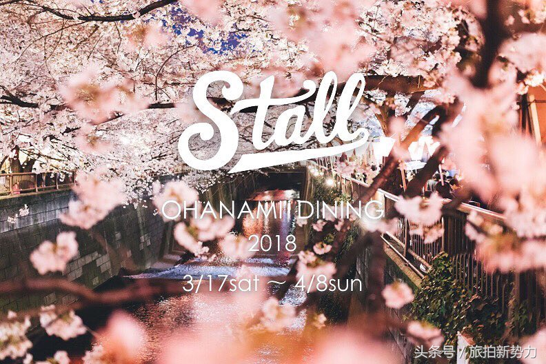 日本赏樱规划樱花行程的必备攻略,2020日本樱花季东京赏樱最强攻略