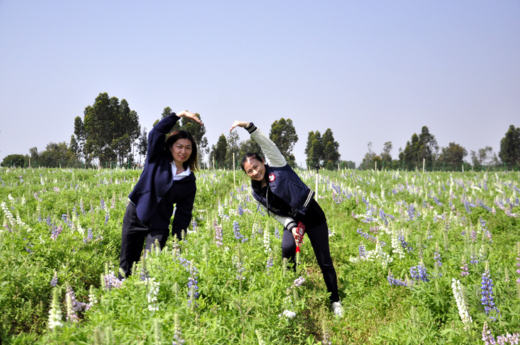 春风十里，不如花开万株！周末去哪？带你玩转特呈岛！