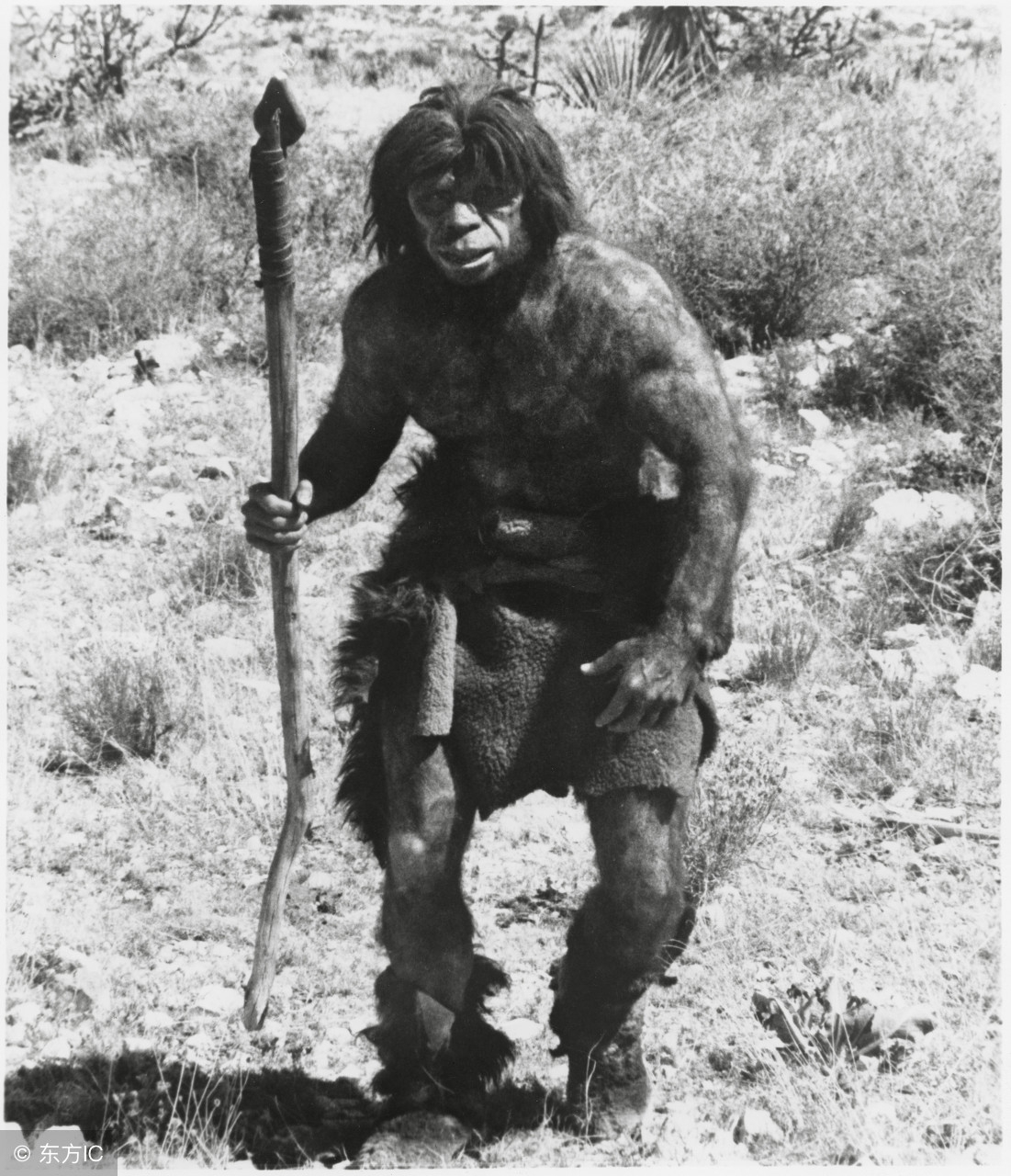 鬼缠人完整视频,鬼缠人