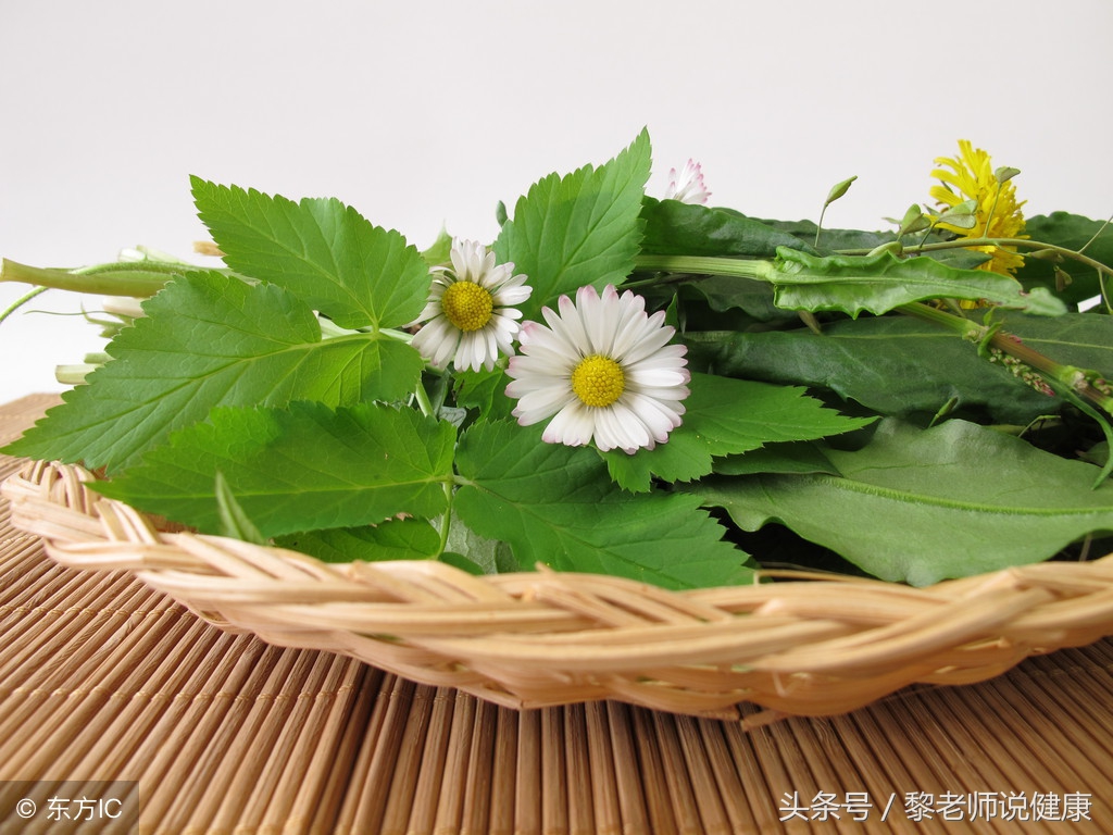 口腔溃疡可以吃复方蒲公英胶囊吗,口腔溃疡可以吃蒲公英和菊花茶吗