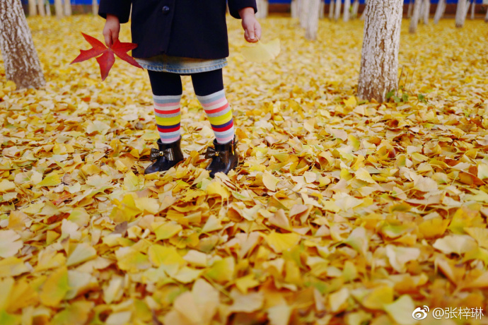 萌娃拍照怎么拍出高级感,拍摄萌娃技巧有哪些