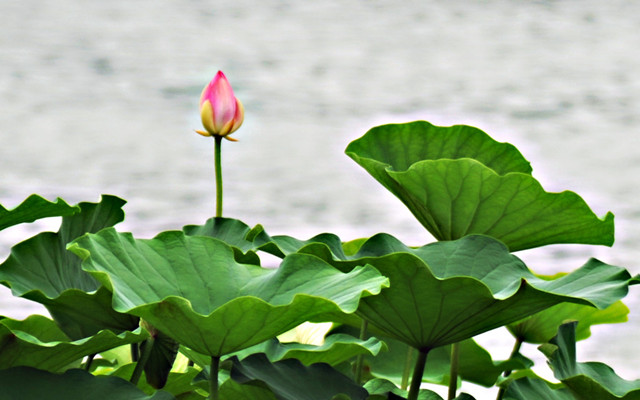 测试自己名字适合的数字,测自己名字的凶吉