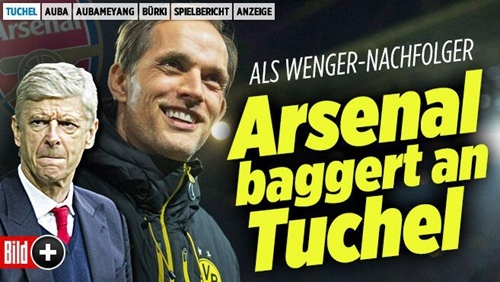 天亮了迪玛希,天亮了李明智